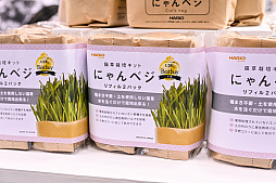 ꡼ No.039Υͥ / DQFFKHθǭåSQEX PETsפ򸫤Ƥ⤷˥󥢥ƥिΡȥ󥿡ڥå2024