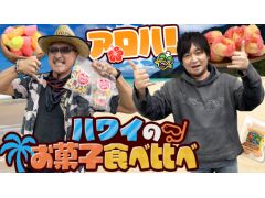 �路�㤬��TV�κǿ�ư��Ǥϡ��֥ϥ磻�Τ��ۻҡפ�Ҳ𤹤��ͻҤ��Ϥ��������Ϥ��ۻҴ�褬���ܤ����ӽФ��Ƴ�����