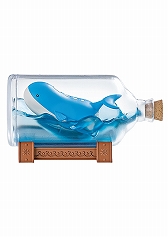 画像ギャラリー No.004のサムネイル画像 / 「ポケットモンスター AQUA BOTTLE collection 〜かがやく水辺のめぐりあい〜」の再販が決定。6月末発売予定で予約を受付中