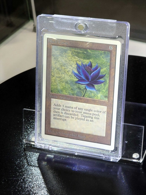 ꡼ No.028 | Υκˤ롣峤ǳΡBiliBili World 2024פϡϢνŸ¿󼡸˸祤٥Ȥ