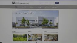 ꡼ No.004Υͥ / ֤ߤü쾯ǯߡסץ쥤䡼50ͤˡԤǤϸʤäʪ򤭤θǤ߰ҤŻǤȯ