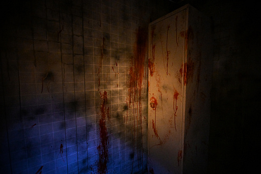 ꡼ No.017 | ۥ顼򤭤Υޥꥢ!?ݤɥˤʤ뿷ɤΡ֤ͷϡפ˹ԤäƤޤäơġ