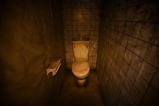 ꡼ No.024 | ۥ顼򤭤Υޥꥢ!?ݤɥˤʤ뿷ɤΡ֤ͷϡפ˹ԤäƤޤäơġ