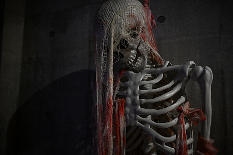 ꡼ No.036 | ۥ顼򤭤Υޥꥢ!?ݤɥˤʤ뿷ɤΡ֤ͷϡפ˹ԤäƤޤäơġ