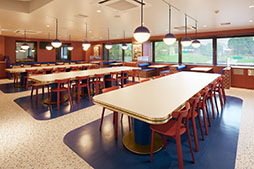 ꡼ No.011Υͥ / ֥˥ƥɡߥ塼ס102˥ץǤŷƲ³ƤڤˤؤӡθǤ