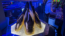 ꡼ No.008 | ॷ祦!?٥ȡSEGA TGS PARTYפǯⳫšζǡ׿о줹ȥߥʥȶҡɤλѤ