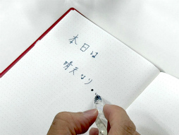 ���������꡼ No.003�Υ���ͥ������ / �ڡȿ䤷���ƻ����2��Υ����Ȥϡ����ڰ�Ȥ����ޤ줿��ͥ ��ë���ͤ��󡣥Х�����ǯ���鲻�ڤ�ƻ�ء���������ͥ�ˤʤ�ޤǤ���