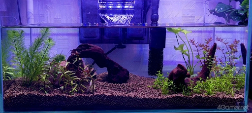 ���������꡼ No.005�Υ���ͥ������ / �ڡȿ䤷���ƻ����2��Υ����Ȥϡ����ڰ�Ȥ����ޤ줿��ͥ ��ë���ͤ��󡣥Х�����ǯ���鲻�ڤ�ƻ�ء���������ͥ�ˤʤ�ޤǤ���