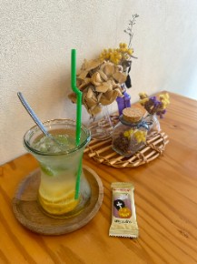 ���������꡼ No.011�Υ���ͥ������ / �ڡȿ䤷���ƻ����2��Υ����Ȥϡ����ڰ�Ȥ����ޤ줿��ͥ ��ë���ͤ��󡣥Х�����ǯ���鲻�ڤ�ƻ�ء���������ͥ�ˤʤ�ޤǤ���