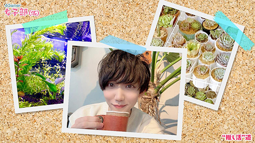 ���������꡼ No.020�Υ���ͥ������ / �ڡȿ䤷���ƻ����2��Υ����Ȥϡ����ڰ�Ȥ����ޤ줿��ͥ ��ë���ͤ��󡣥Х�����ǯ���鲻�ڤ�ƻ�ء���������ͥ�ˤʤ�ޤǤ���