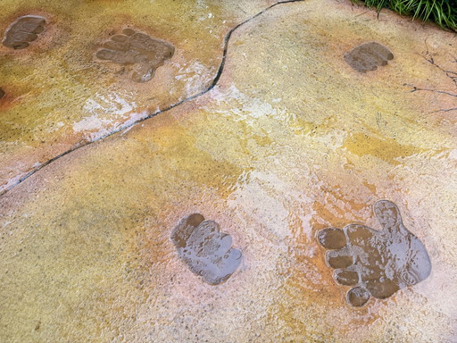 画像ギャラリー No.009のサムネイル画像 / USJの新エリア「ドンキーコング・カントリー」は,いよいよ明日オープン。新アトラクション「クレイジー・トロッコ」やエリアの見どころを紹介