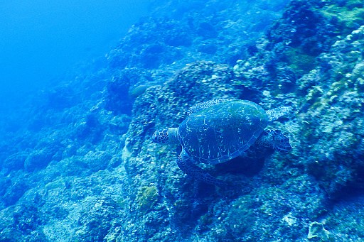 ꡼ No.005 | 2025ǯϡֶסСסס1ǯΥå顼ɤǥȳκǯ򸫤Ĥľǯεɤ߲