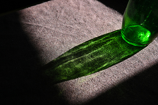 ꡼ No.006 | 2025ǯϡֶסСסס1ǯΥå顼ɤǥȳκǯ򸫤Ĥľǯεɤ߲