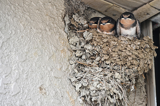 ꡼ No.013 | 2025ǯϡֶסСסס1ǯΥå顼ɤǥȳκǯ򸫤Ĥľǯεɤ߲