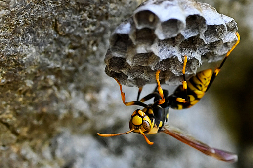 ꡼ No.015 | 2025ǯϡֶסСסס1ǯΥå顼ɤǥȳκǯ򸫤Ĥľǯεɤ߲