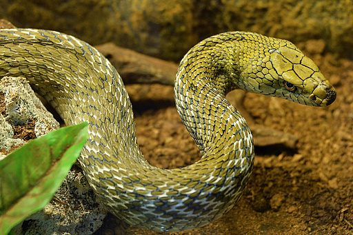 ꡼ No.016 | 2025ǯϡֶסСסס1ǯΥå顼ɤǥȳκǯ򸫤Ĥľǯεɤ߲