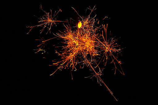 ꡼ No.019 | 2025ǯϡֶסСסס1ǯΥå顼ɤǥȳκǯ򸫤Ĥľǯεɤ߲