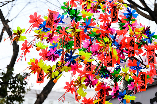 ꡼ No.022 | 2025ǯϡֶסСסס1ǯΥå顼ɤǥȳκǯ򸫤Ĥľǯεɤ߲