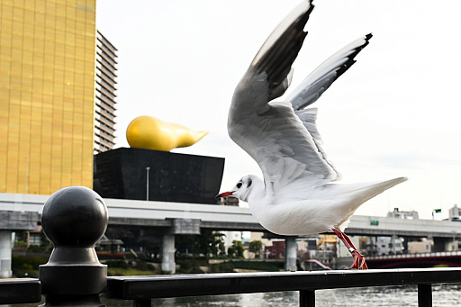 ꡼ No.027 | 2025ǯϡֶסСסס1ǯΥå顼ɤǥȳκǯ򸫤Ĥľǯεɤ߲