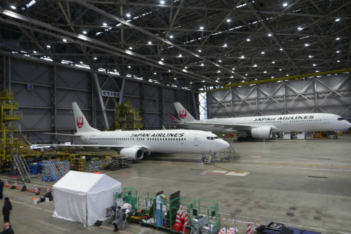 ꡼ No.018 | ѥӥꥪо줹뿷ʥबߥ㥯ߥ㥯ȤȤ˥ܥåȤǶ񤦡JALJETפϪܲݡ