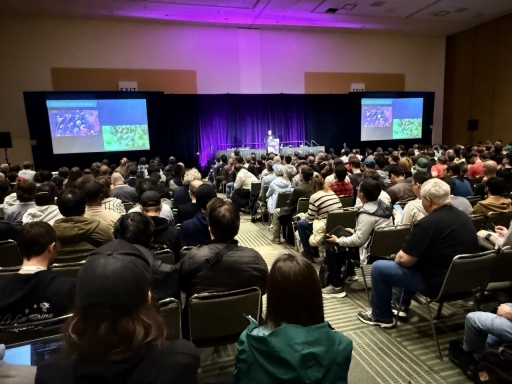 ꡼ No.005 | GDC 20253ͤĶԤϿ2026ǯ3913˥⥹ˡ󥿡ǳŤ