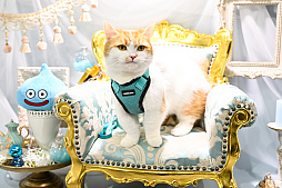 ���������꡼ No.002�Υ���ͥ������ / �������ˤθ�ǭ���å���SQEX PETs�פ�9��ȯ����ꡪ�����⤷�����˥�󥢥��ƥि������Ρȥ��󥿡��ڥå�2025��