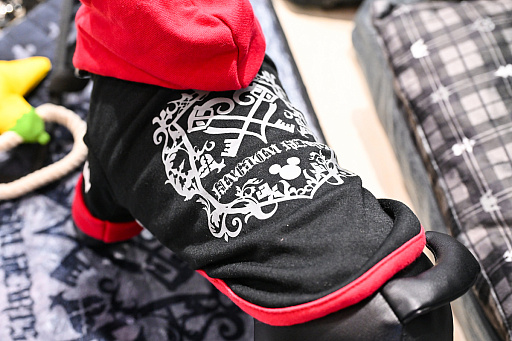 ���������꡼ No.014�Υ���ͥ������ / �������ˤθ�ǭ���å���SQEX PETs�פ�9��ȯ����ꡪ�����⤷�����˥�󥢥��ƥि������Ρȥ��󥿡��ڥå�2025��