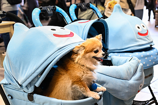 スクエニの犬猫グッズ「SQEX PETs」も9月発売決定！ おもしろ