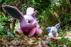 ꡼ No.009Υͥ / ݥοʥ󥿥ߡ֥ݥѡȡפ2026ǯդ˳ȡåȤ2025ǯ˽缡ͽ