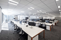 ꡼ No.003Υͥ / Ѿ᤬Ψ饤ȥԡɡѥ奪եߡ֥ǥӥᥤ饤ץ꡼ʤɤǳ٥ƥȯԤ