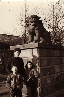 ꡼ No.005Υͥ / ܥե륳߼ԡƣ 衧ԡPC餷ʤФƤοӥǥθ42