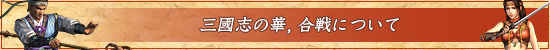 三國志の華,合戦について