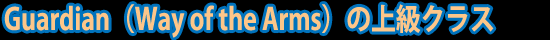 GuardianiWay of the Armsj̏㋉NX