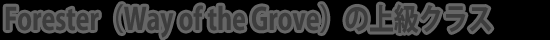 Forester(Way of the Grove)の上級クラス