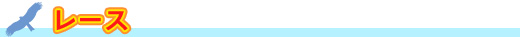 レース