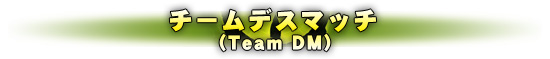 ǥޥåTeam DM