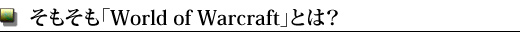 ⤽World of WarcraftפȤϡ