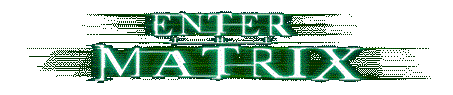 ENTER THE MATRIX