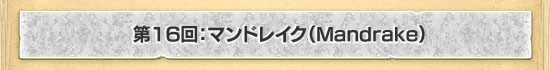 16󡧥ޥɥ쥤Mandrake