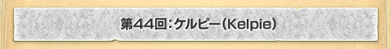 44󡧥ԡKelpie