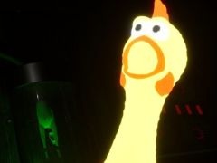 さまざまな力が使えるゴムチキンを片手に探索する「Squawky」,デモ版をSteamで配信開始。不気味なスクウォキーに捕まらないようにしよう